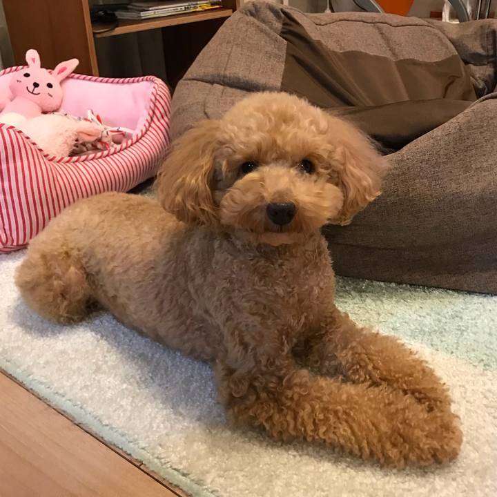 Eee694a2 fbcd 4034 a744 66b0794bb86e 1513170506715