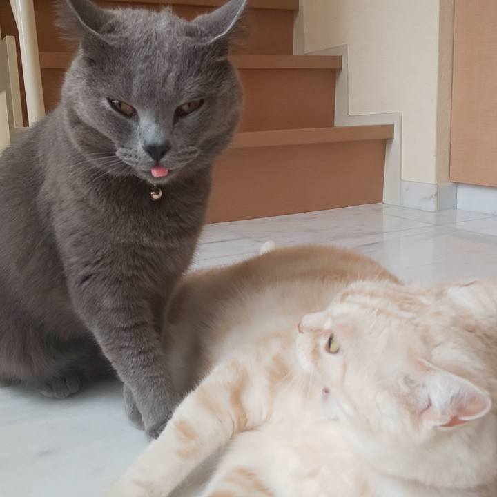 Eee6b3a1 b4d3 4930 bd6c 450ad595fce1 1564448453500