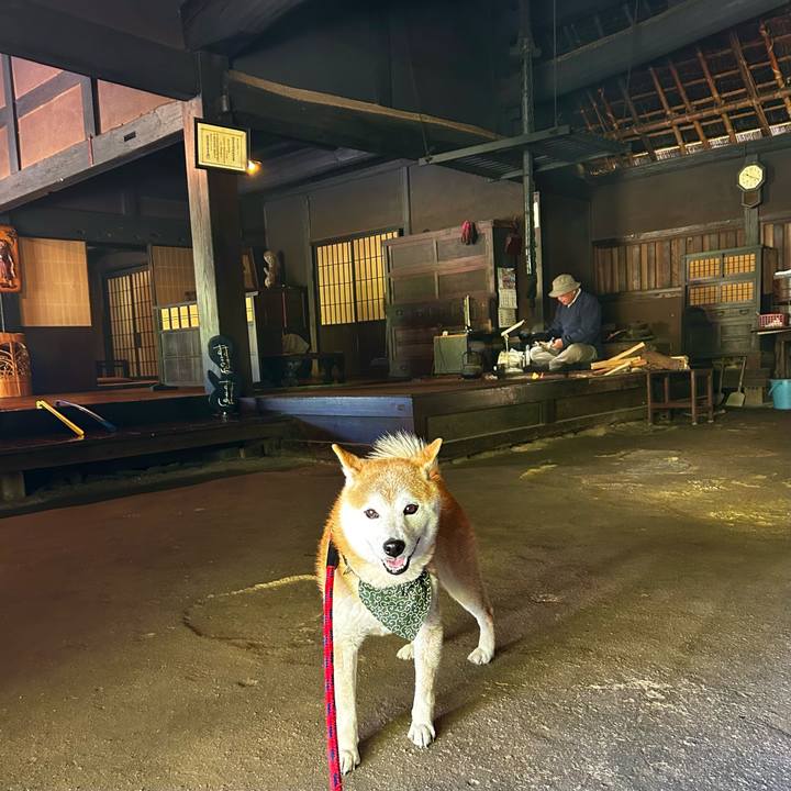 Eee6b713 17da 4f5c 9b98 6f08654b8eb8 1715329980666