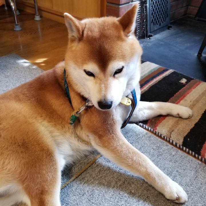 Eee6c1ec 94da 42f8 924d 231ebbf80b5e 1553133474094