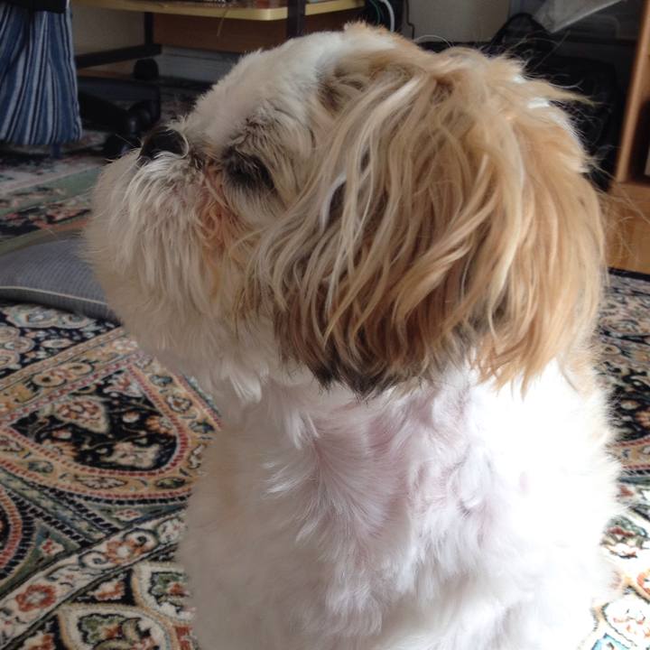 Eee6ca1b bf45 45b8 9972 f670484e0b91 1510781346013