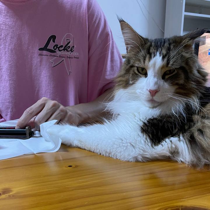 Eee6d722 6d6d 473a 8a4e d360e5fbb359 1657629896518