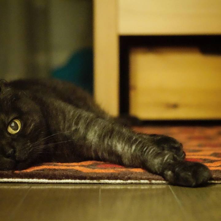 Eee7147a 4f73 488b b173 2c739a391742 1561722022338