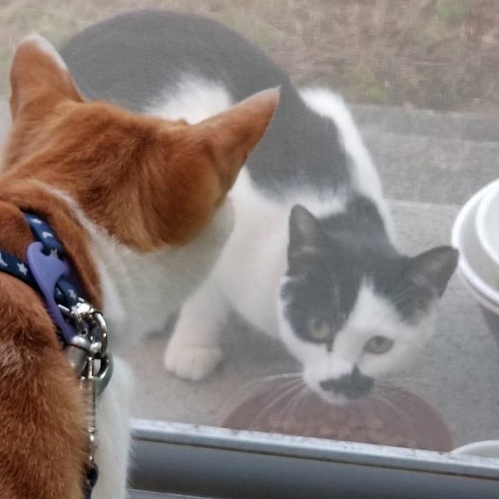 Eee73d07 5487 4276 a848 d7af3310ccfc 1540122579366