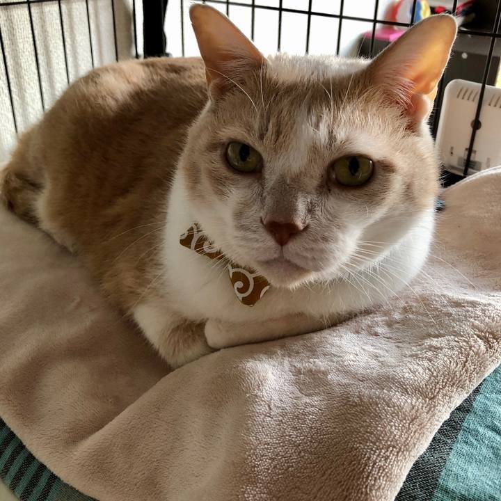 Eee75d20 ceb7 4a73 bb2d a5ee445ce1ed 1579912530863