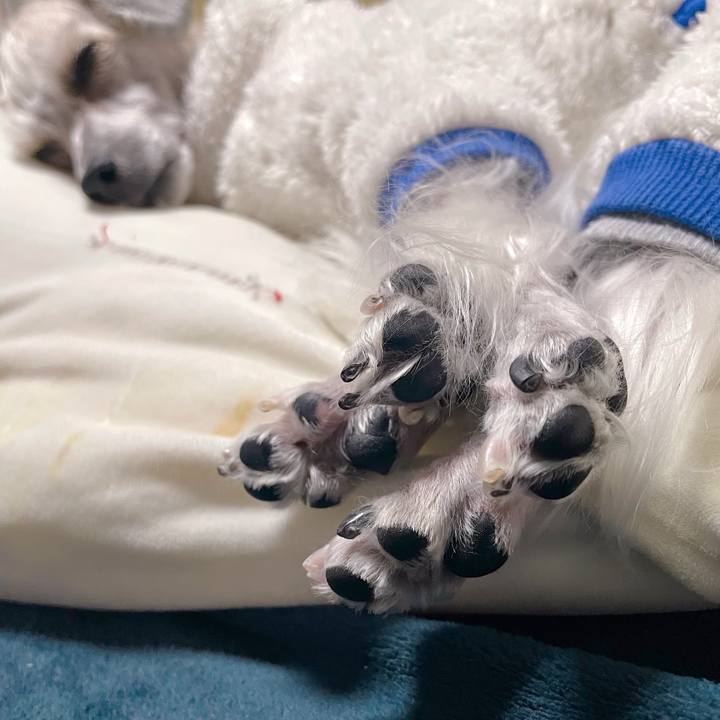 Eee77fe2 ca7a 47f2 a666 4c7ee1ca6f32 1768720597225