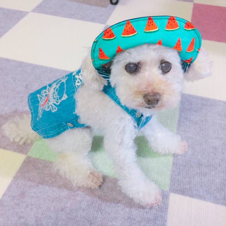 Eee78715 6443 465f 92e5 0d1db7fc47b2 1530963126122