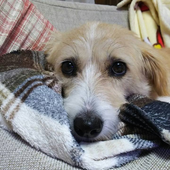 Eee790d3 a7e8 46f0 839f 25243e89c921 1538482890711