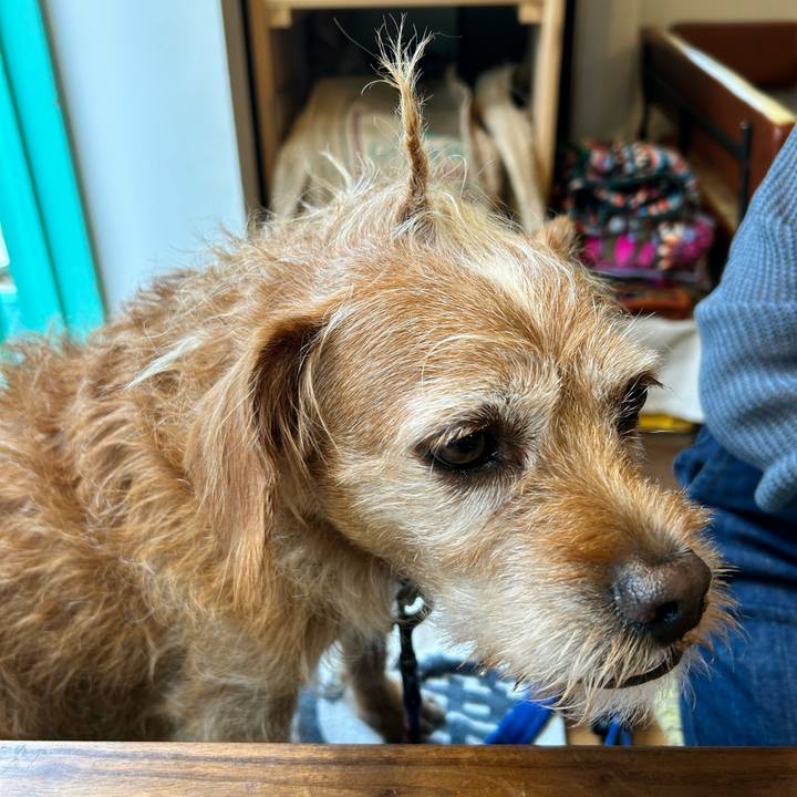 Eee7a26f 1e14 4c68 ac38 efcfaf9a550d 1719141256622