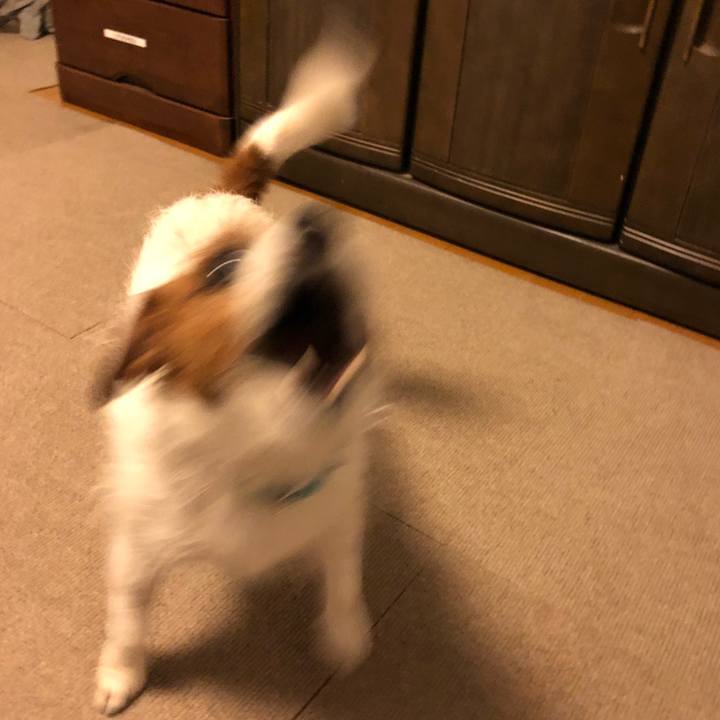 Eee7aafb b30a 47b8 92ad 39ce32312f80 1518429678273