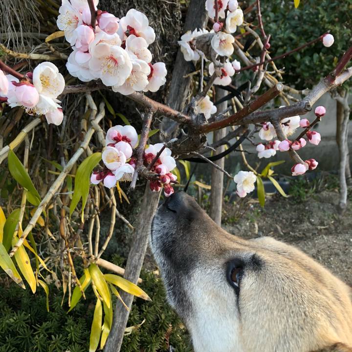 Eee7c227 cc11 4b1d 9d34 c906e886bdf0 1614080678609