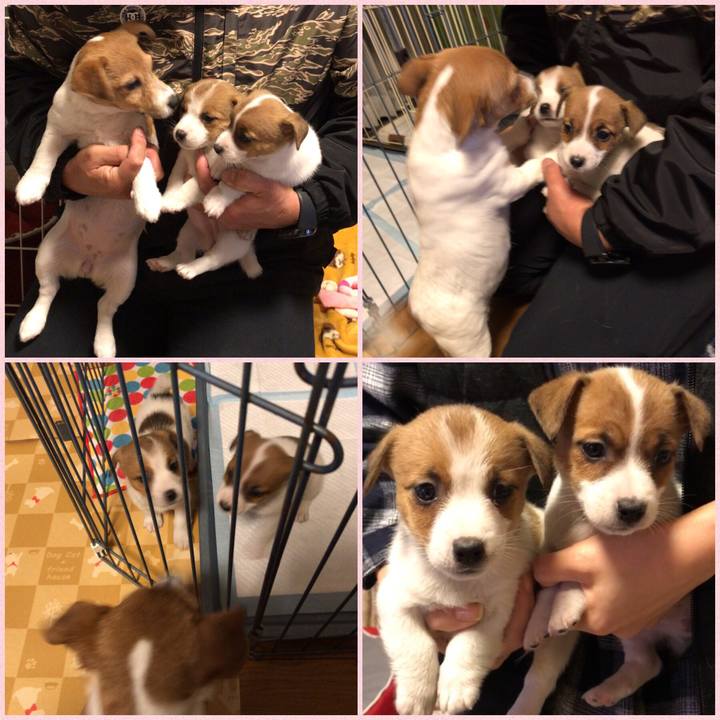 Eee7df9d 9619 4e90 8222 1f5496bc3321 1548211286822