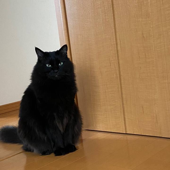 Eee7e7e9 73c6 457d 8622 f9f3d80bb5c7 1598316814876