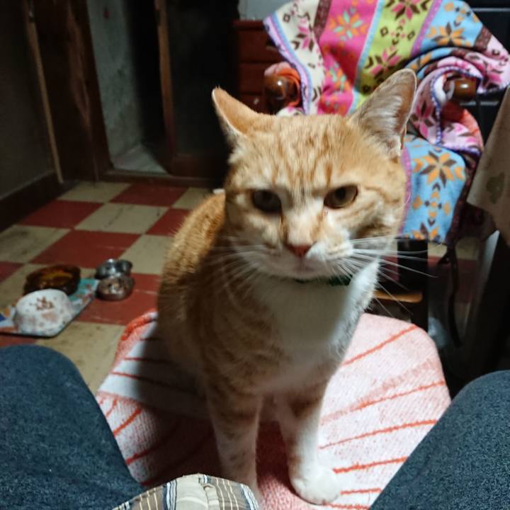 Eee7ebb2 32e3 484e a6e1 456d85f65f2e 1584475118607