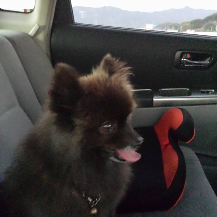 Eee81c44 f497 4752 8a6d 6c148dad8fdb 1516830422555