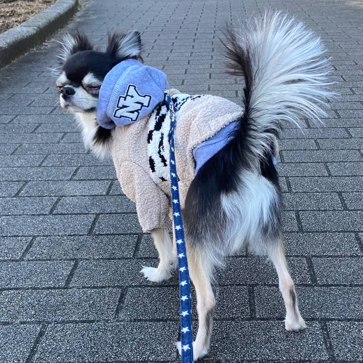 Eee82167 1cc9 4023 9131 86045b0e7d7a 1642823687156