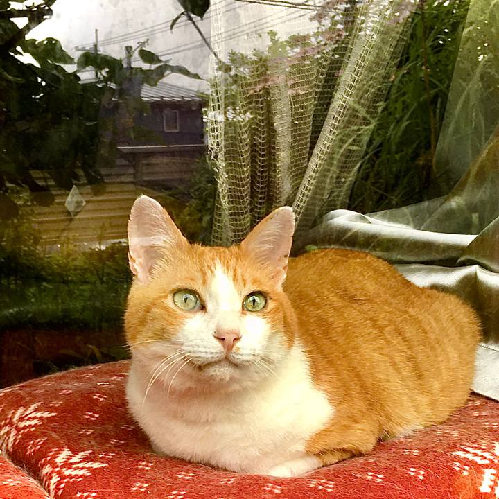 Eee834f3 c254 4fa9 b766 87301f161737 1594189294268