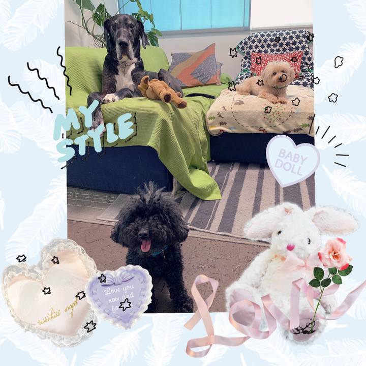 Eee84027 d592 4e38 89c1 8340aea38879 1559770745497