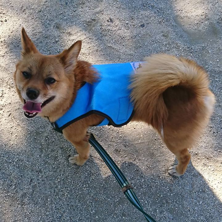 Eee87477 801a 4d44 9228 9183cde3efba 1530319043494