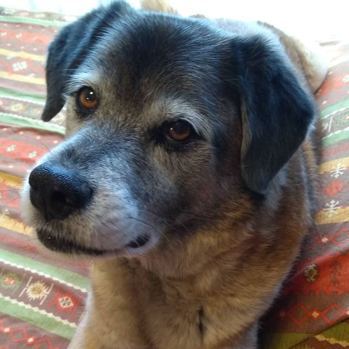 Eee88df2 5808 48d1 b125 39a9c1274a88 1557222984487