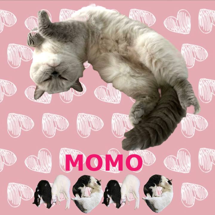 Eee905b7 ea0f 4777 b18e 8a3761e087c2 1667784497851