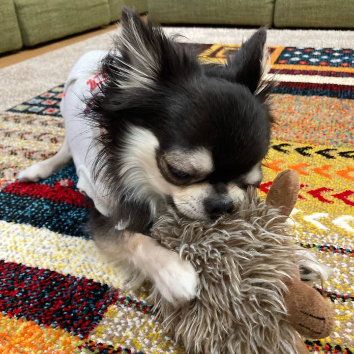 Eee95db5 7fa0 46e8 91df 994f424857bb 1679755719832