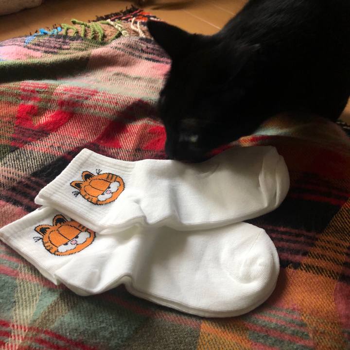 Eee981a6 bd39 4253 95db 14c964d9d33b 1579477108847