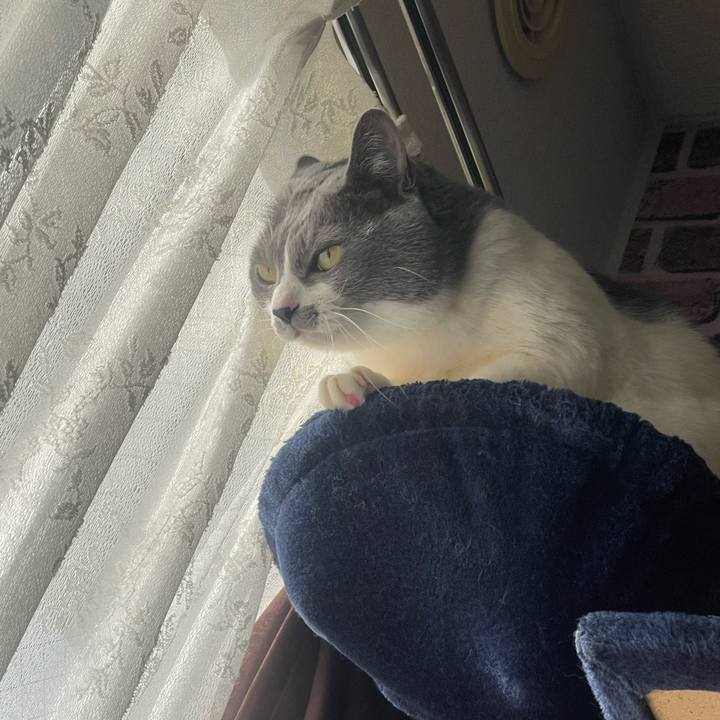 Eeea0340 6f88 4c62 9828 a995b52631d7 1734741191325