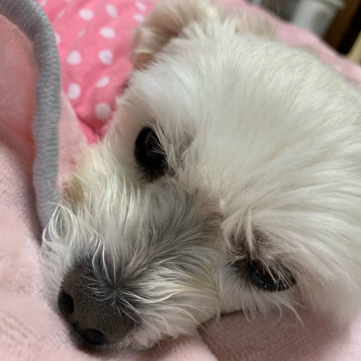 Eeea166b 845c 4cb8 a147 1d0d9129f856 1603796033298