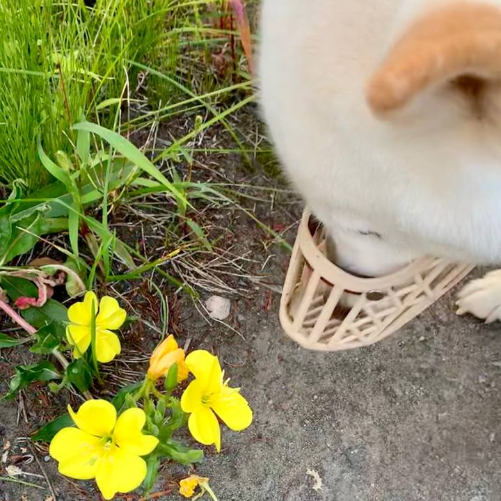 Eeea2371 5beb 4038 882a 38b54ff6c304 1567632192374