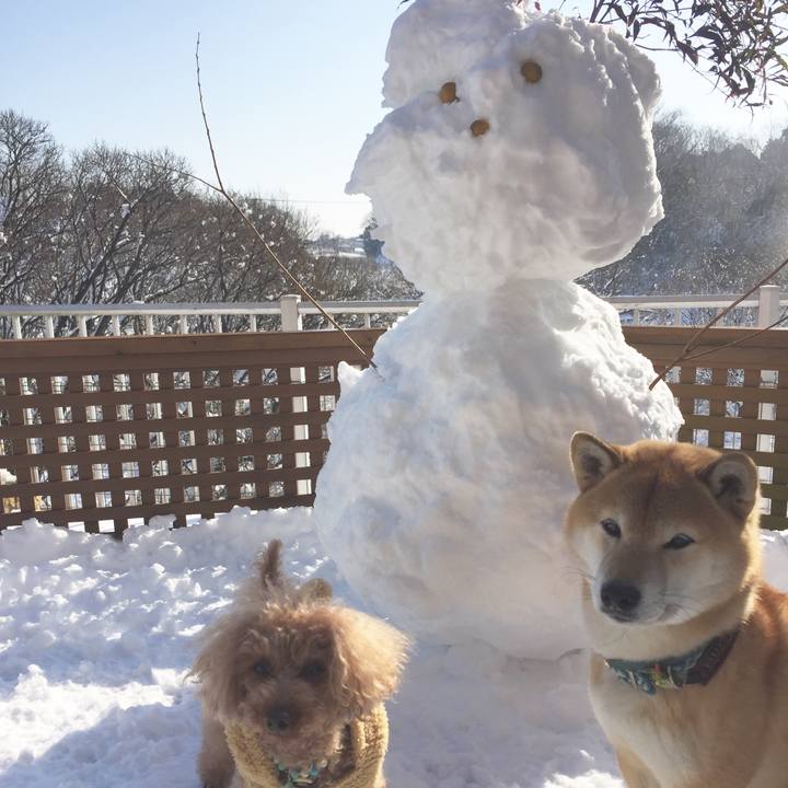 Eeea40dc b181 43e8 a62c c86cb8e83d7b 1516673561806