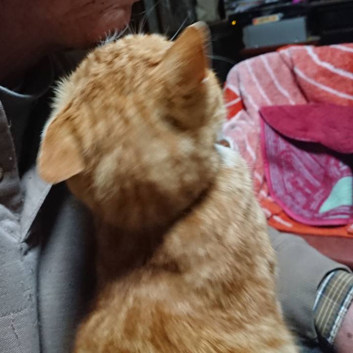 Eeead18f 16b1 40ac b2d6 3c147fd709dd 1585685908599