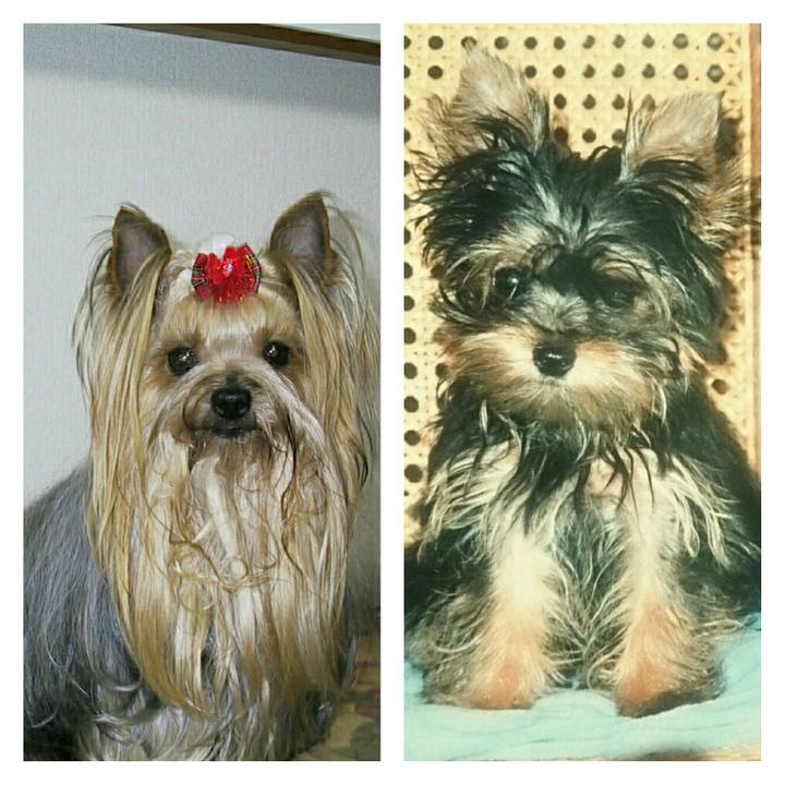 Eeeae298 be18 4e7d 9f96 e0ed62cefc33 1543131197283