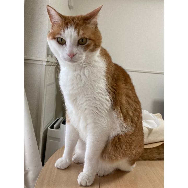 Eeeaeed9 da35 418f a11f d634fff7ede7 1647155821166