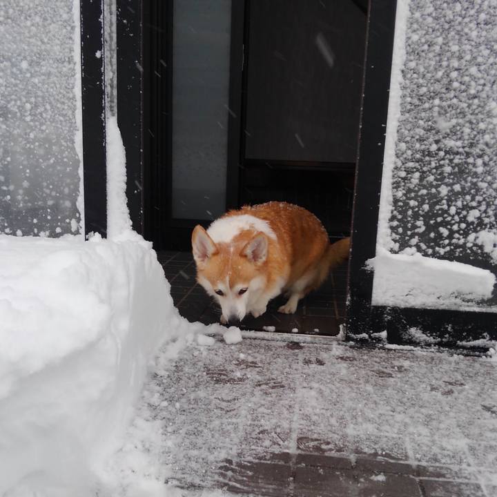 Eeeaf921 1796 4f28 a85c 4b918f912b6b 1771564418374