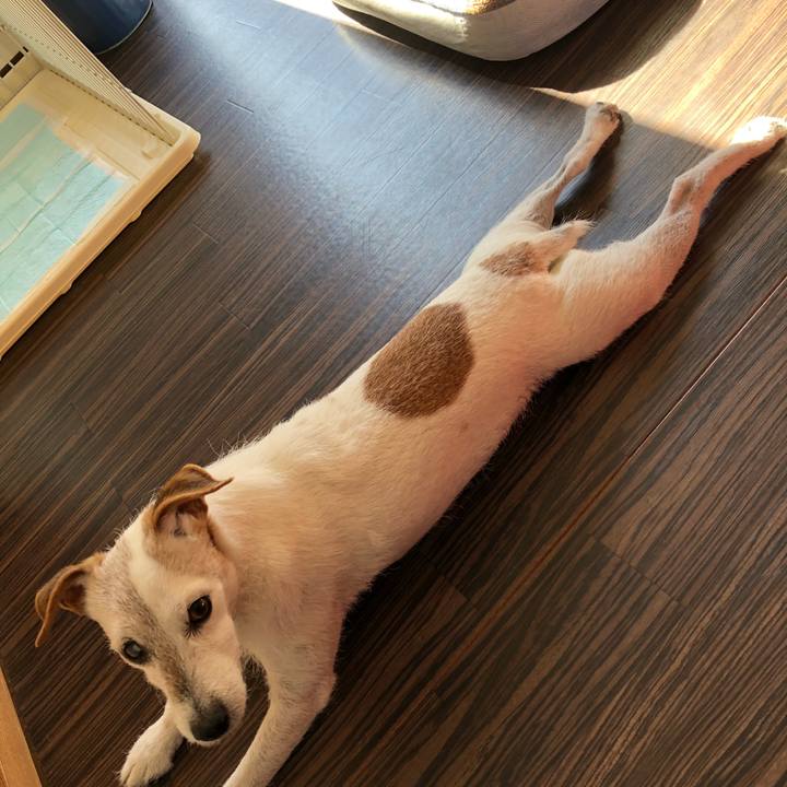 Eeeb0ace 476c 4c1a b2d7 0ac7a216fb46 1511233087784