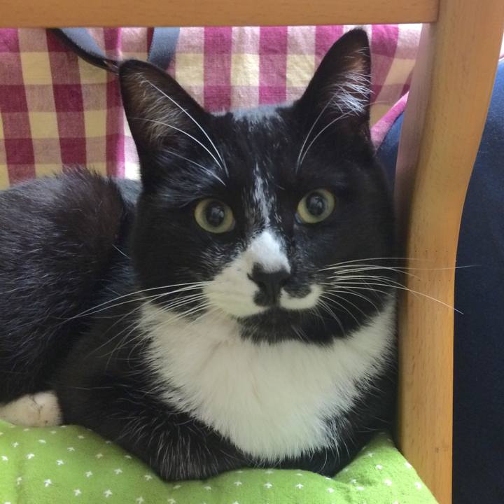 Eeeb4a0a 150a 4947 a768 33988c6e6f58 1514956977520