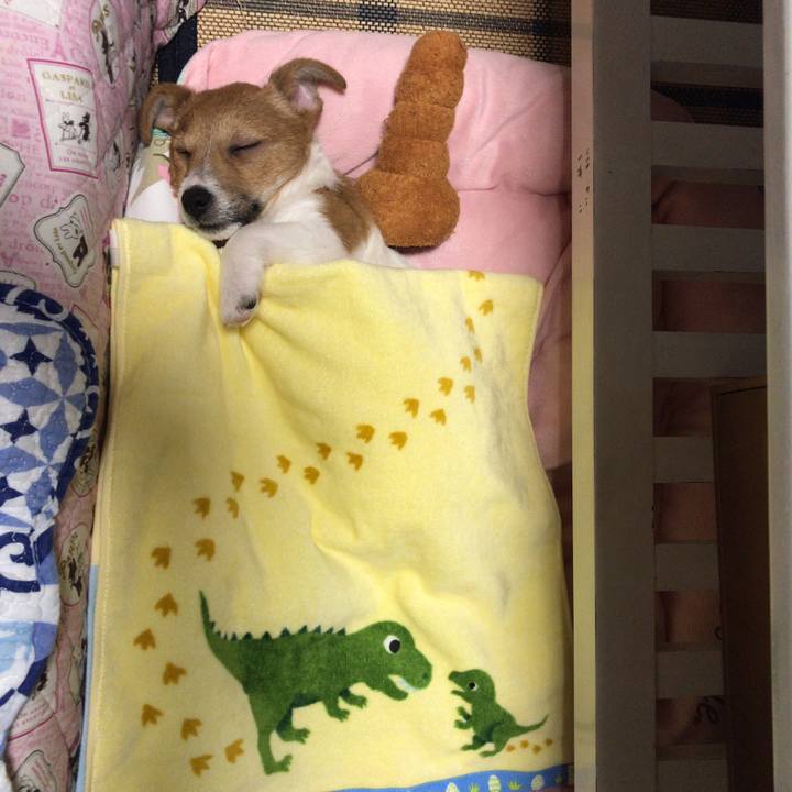 Eeeb99d4 69b5 4bca a7d7 7d677070ec4f 1544702468033