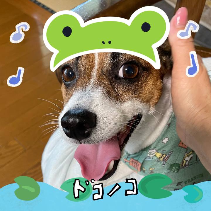 Eeebfa6b 14e5 42fc 8191 c29c585b23e7 1717935723012