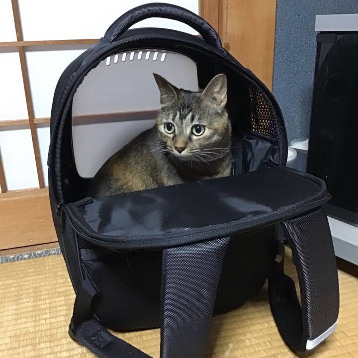 Eeec008f 0098 4102 9e19 22b737d12a90 1700828258061