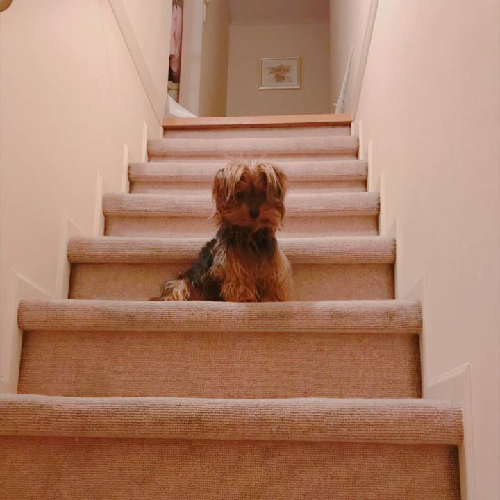 Eeec243e fc88 4fd0 be7b cfbf57cc617d 1526554544324