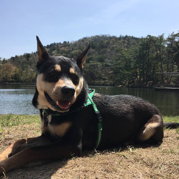 Eeec3a5c 0bc5 4e64 a085 cdf92430d816 1523588399684