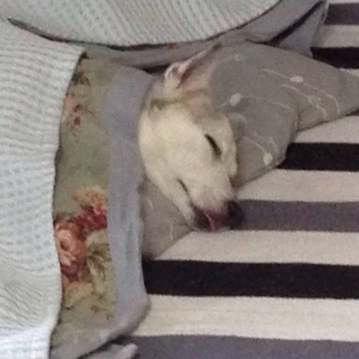 Eeec4f50 1f7a 412e a70b f9f7cc40e2d3 1769554850137