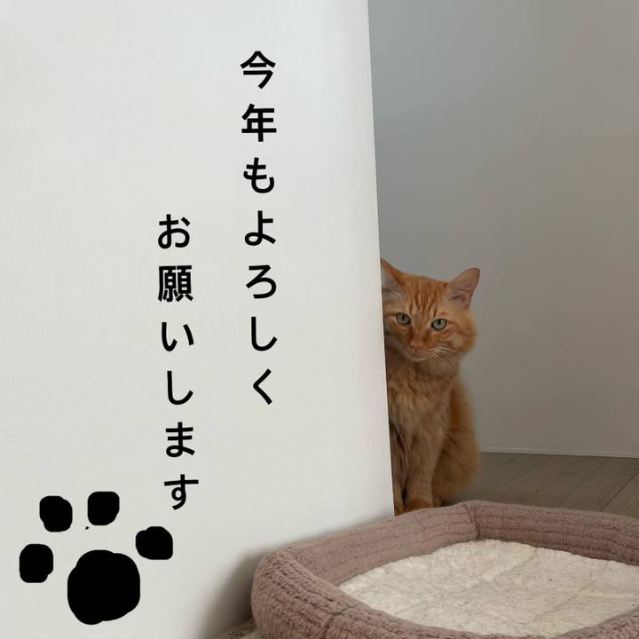 Eeec54ac 6aa0 4c02 b72b 781d7aa60a68 1767605546425