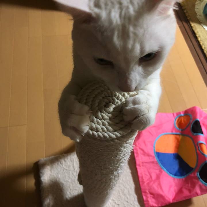 Eeec6d1a 9f02 4663 b03a 77709f592b69 1622122223780