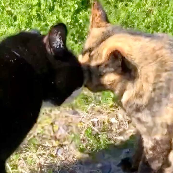 Eeec77a6 c563 43a1 8cef 7141cf67533d 1741677807976