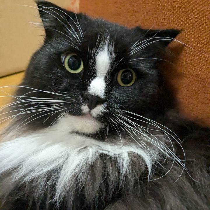 Eeecd370 580c 4bb0 9e40 043c496ac326 1722374442270