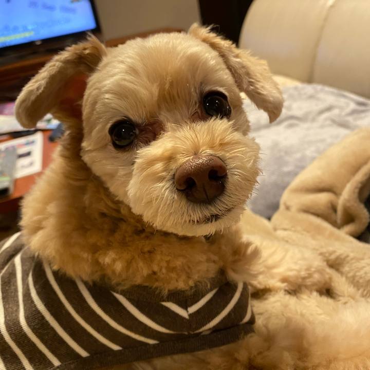 Eeecd45b e41b 4361 b91d eefd29f45a3a 1578307114153