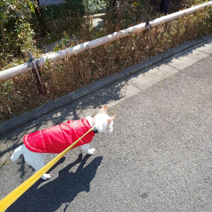 Eeecdb4a d2d4 4e6d b54a 4b5d0219d90b 1553318490450