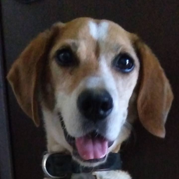 Eeed0374 fdde 4cb8 b599 83182de2fbe3 1691838332462